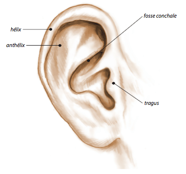 Oreilles décollées Otoplastie Chirurgie plastique - Dr Ziade Oreilles décollées