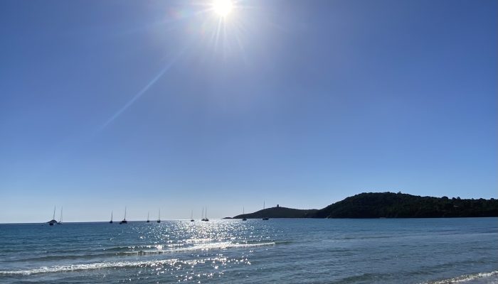 protection contre le soleil