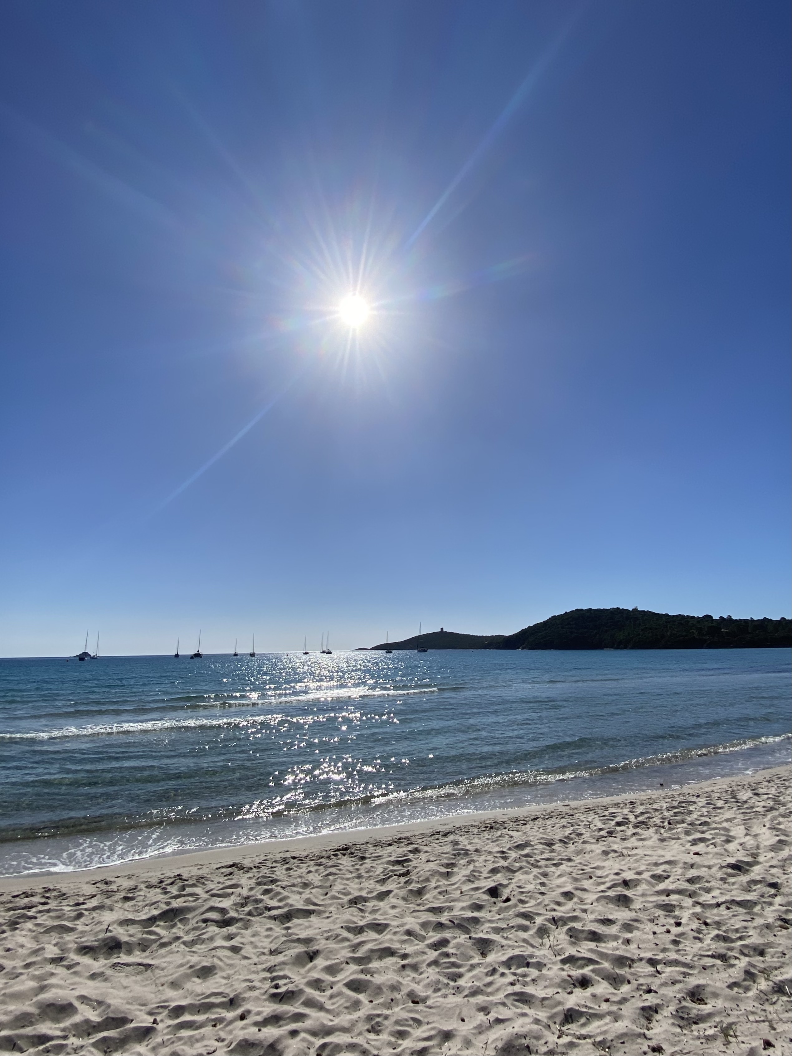 protection contre le soleil